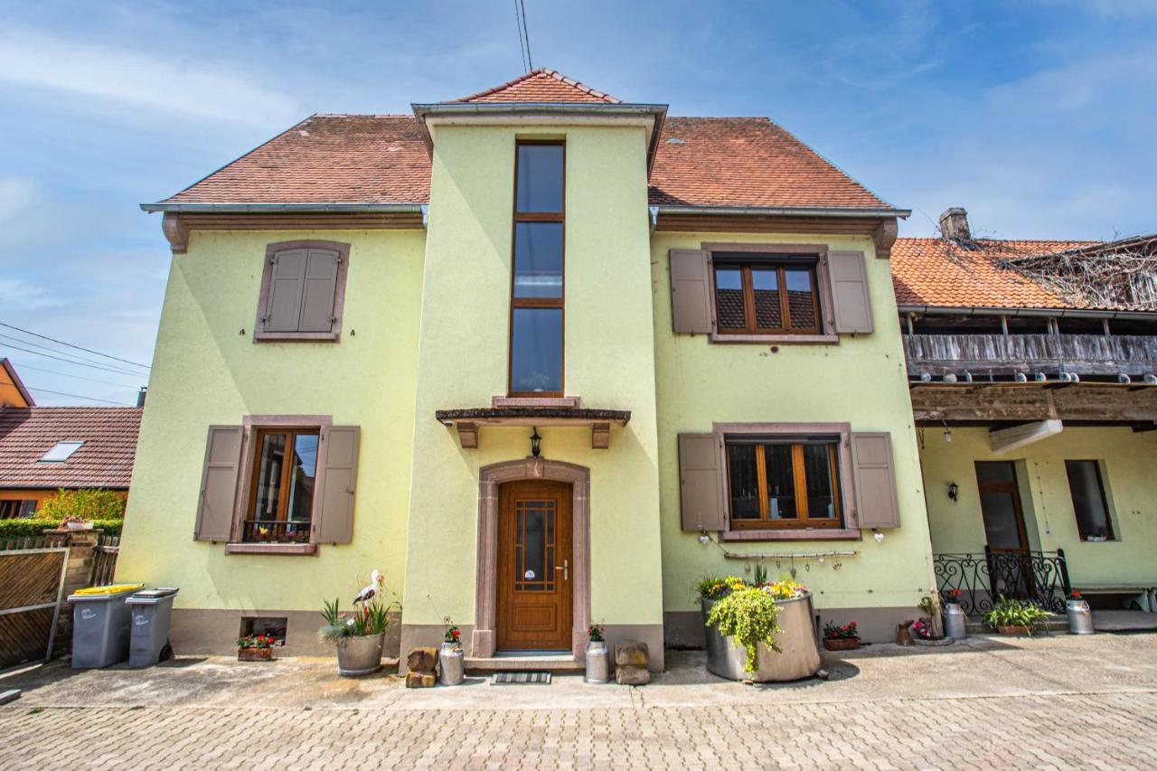 Gite Le Coeur D'Alsace Boofzheim المظهر الخارجي الصورة