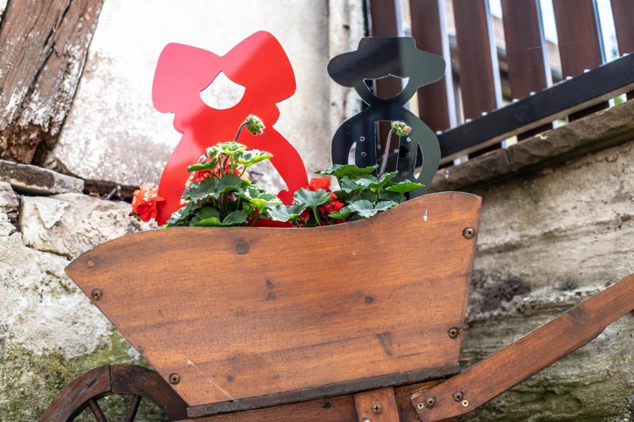 Gite Le Coeur D'Alsace Boofzheim المظهر الخارجي الصورة