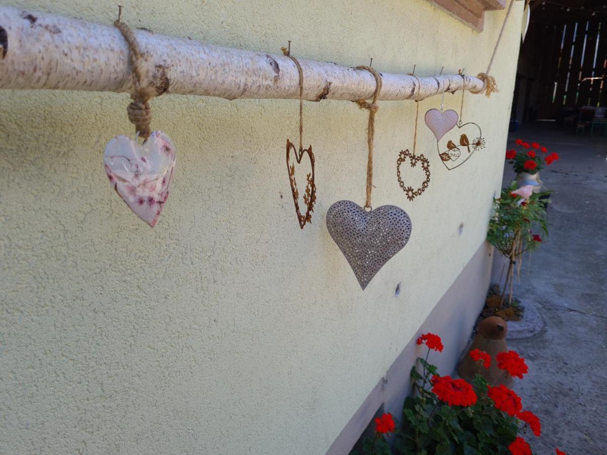 Gite Le Coeur D'Alsace Boofzheim المظهر الخارجي الصورة